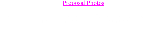 Proposal Photos Capture the magical romantic moments of your sims proposing to each other and getting married at the wedding altar ♥